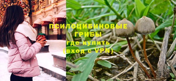 спайс Алзамай