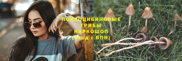 спайс Алзамай