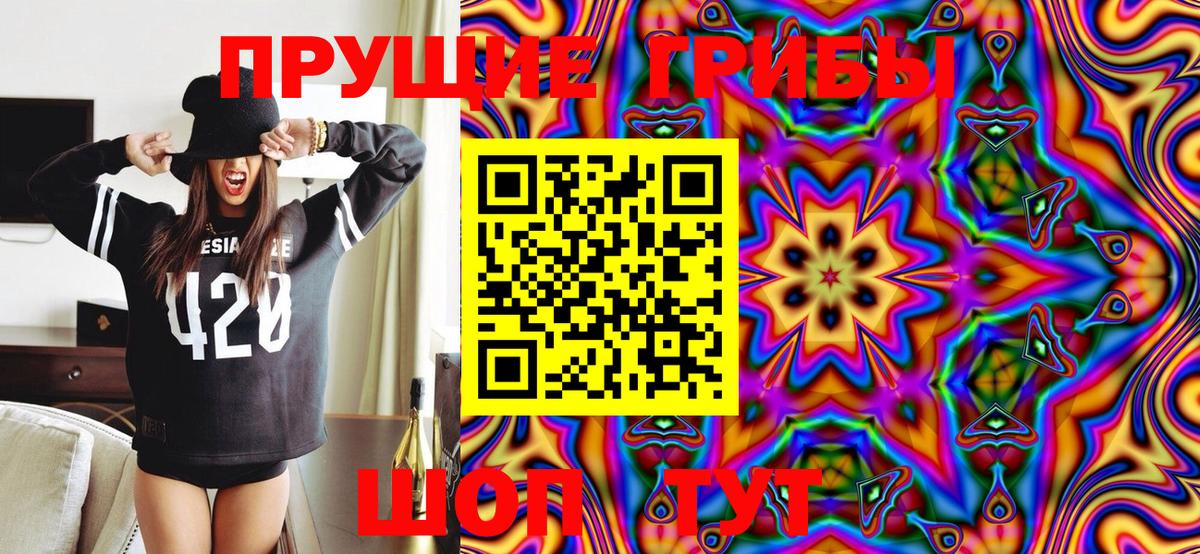 Псилоцибиновые грибы Psilocybine cubensis Ставрополь